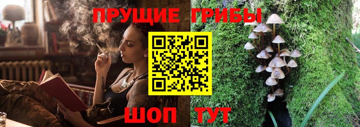 Псилоцибиновые грибы Psilocybine cubensis  Вход с VPN  Черняховск 