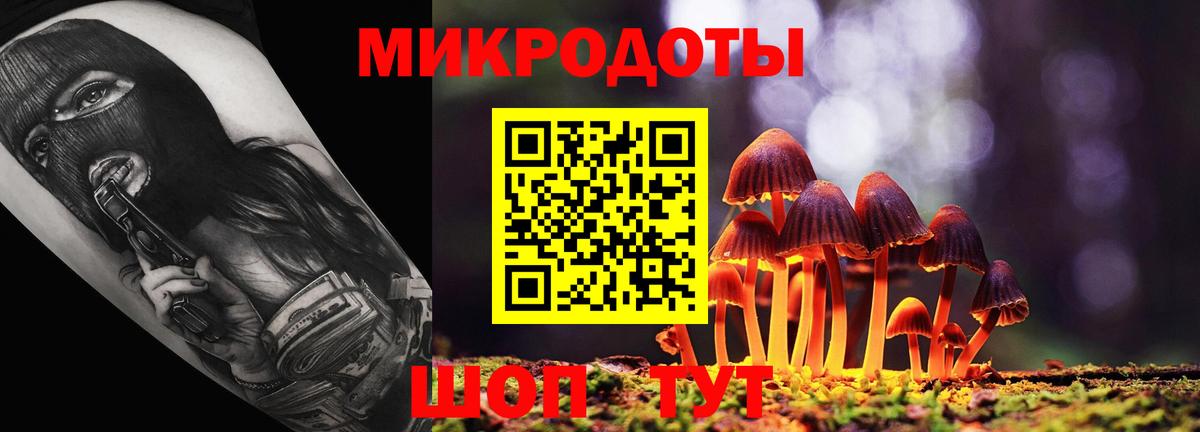 Псилоцибиновые грибы мухоморы Черняховск